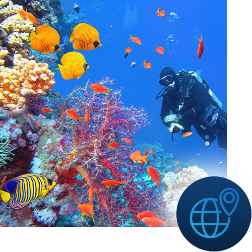 Scuba diving on the coral reefs with net and location icon representing Tour Marketing Suite offering channel and OTA strategic consultation.