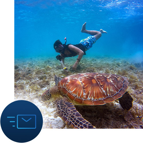 Sea turtle and a snorkeler with mail sending icon representing Tour Marketing Pro helping you with email marketing.