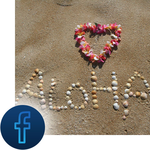 Hawaiian flowers in a heart shape on a beach with Facebook icon representing Tour Marketing Suite helping you reach the perfect client on Facebook.