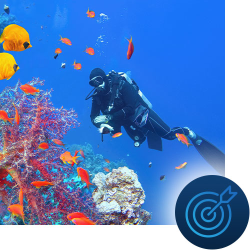 Scuba diving on the coral reefs. Target icon representing how Tour Marketing Suites implements their digital marketing strategies for your business.
